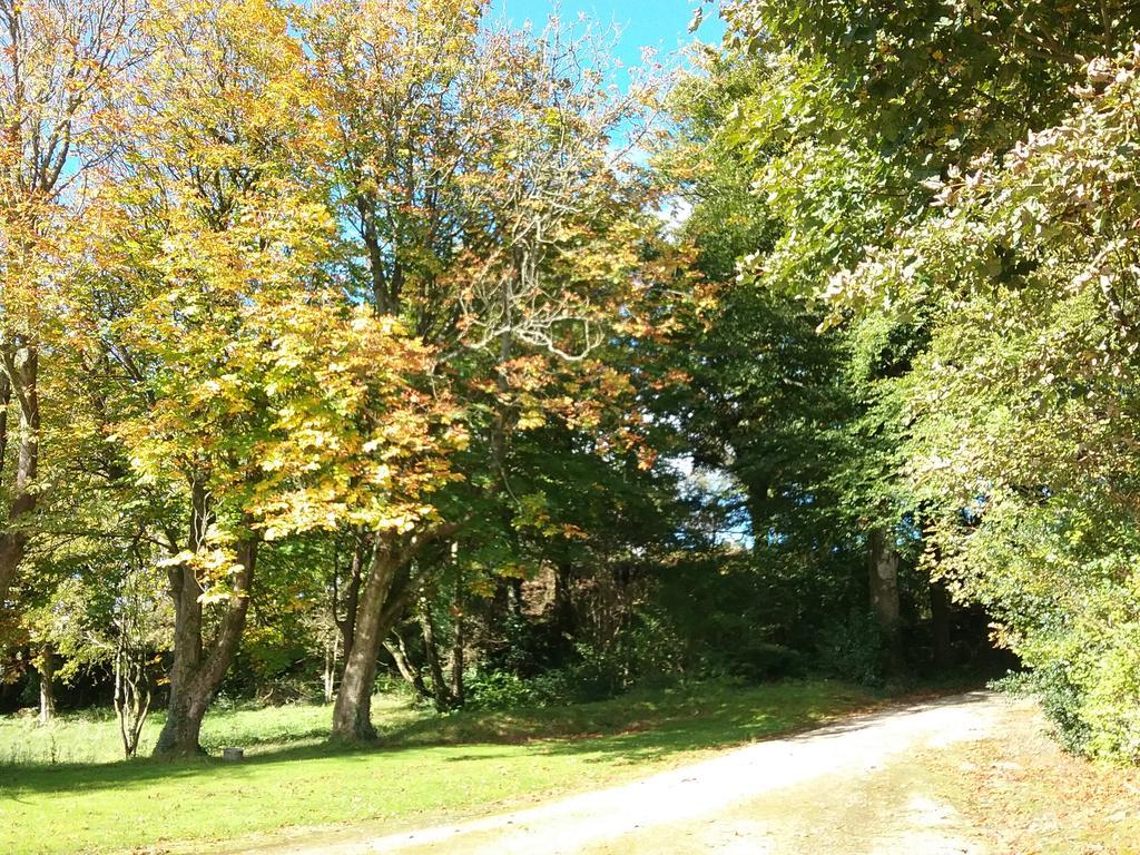 Willowfarmhouse Milford Exteriör bild